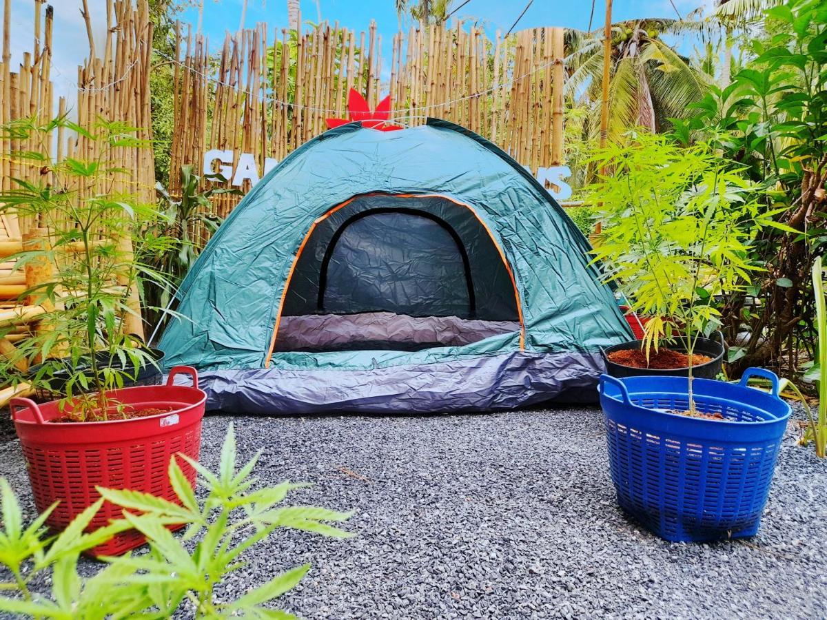 فندق Ganja Gardens Camping Ban Nua المظهر الخارجي الصورة